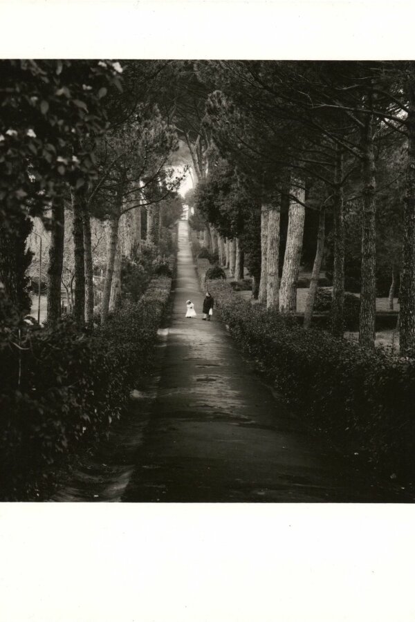 copyright: Joan Fontcuberta